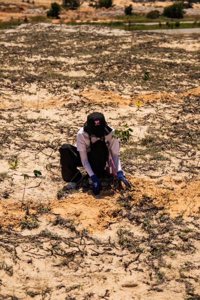 On-the-ground reforestation planting, the kind of project carbon credits can fund